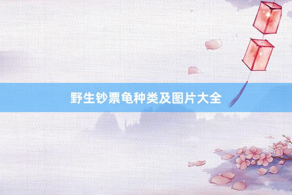 野生钞票龟种类及图片大全