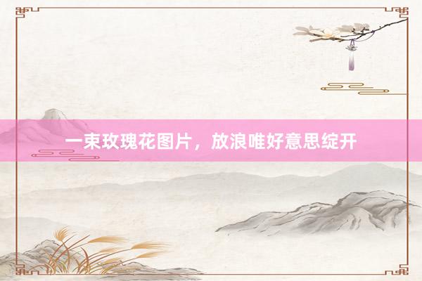 一束玫瑰花图片，放浪唯好意思绽开