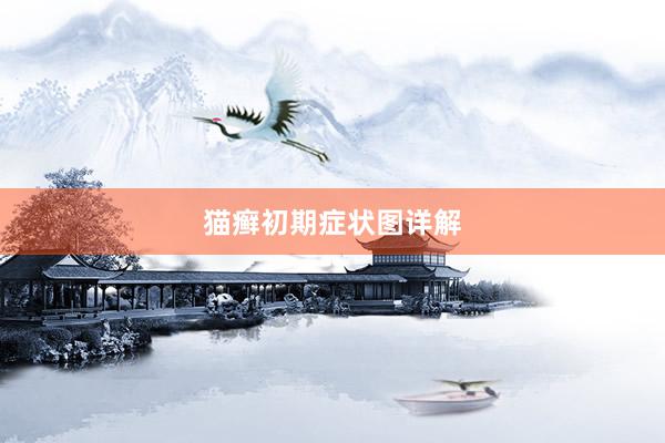 猫癣初期症状图详解
