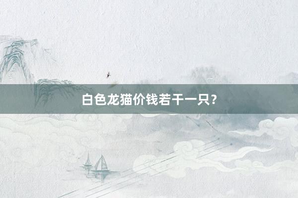 白色龙猫价钱若干一只？