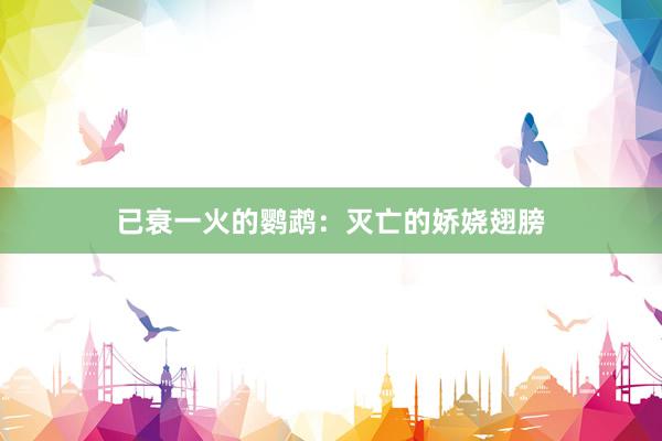 已衰一火的鹦鹉：灭亡的娇娆翅膀
