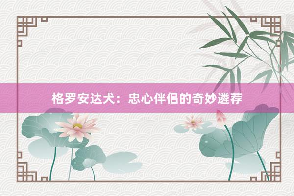 格罗安达犬：忠心伴侣的奇妙遴荐